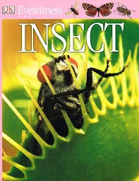 Eyewitness: Insect