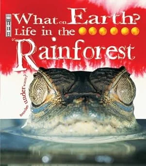 Life in the Rainforest