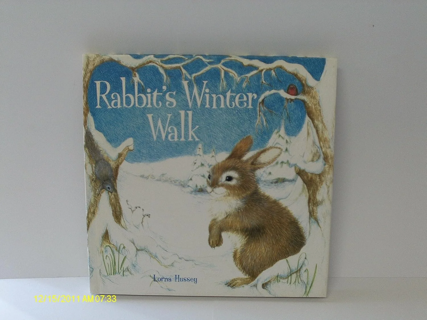 Rabbits Winter Walk Hardcover