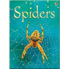 Spiders