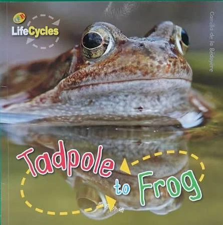 Tadpole to Frog