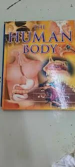 The Human Body