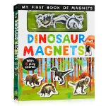 Dinosaur Magnets thumbnail 2