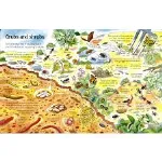 See Inside Under The Ground thumbnail 2