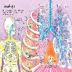 See Inside Your Body thumbnail 2