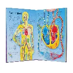 See Inside Your Body thumbnail 3