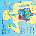 See Inside Your Body thumbnail 4
