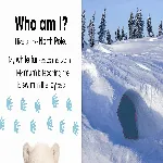 Who am I? Snowy Animals thumbnail 2