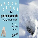 Who am I? Snowy Animals thumbnail 3