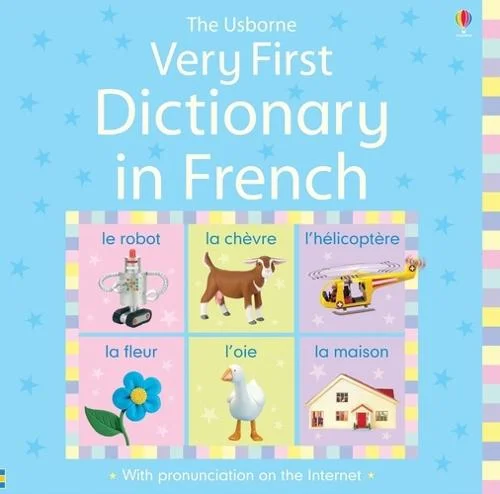 Very First Dictionary in French (Hardback)