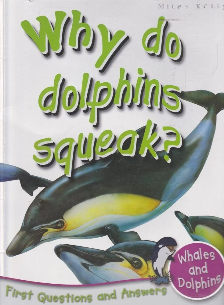 Why Do Dolphins Squeak? (First Questions And Answers)